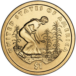 2009 P&D Native American