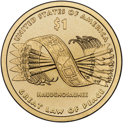 2010 P&D Native American
