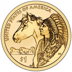2012 P&D Native American