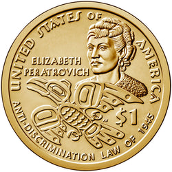 2020 P&D Native American